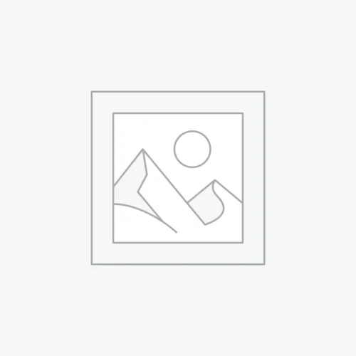 Envato Elements Premium